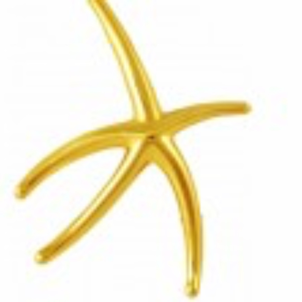 18K Tiffany & Co. Elsa Peretti Larger 2 1/8" X 1 3/4" Starfish Pin Amazing 🤩 ⭐✨ - Picture 2 of 3